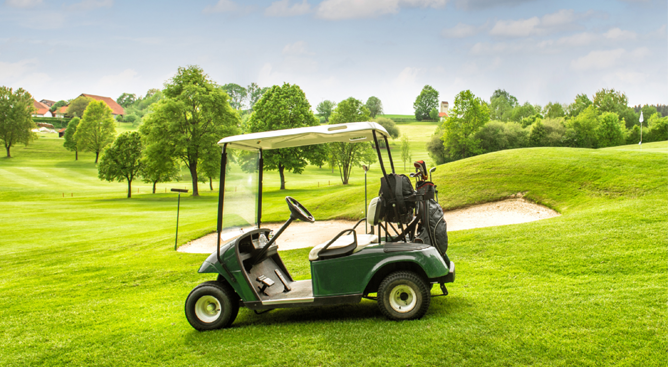 golf cart battery factory